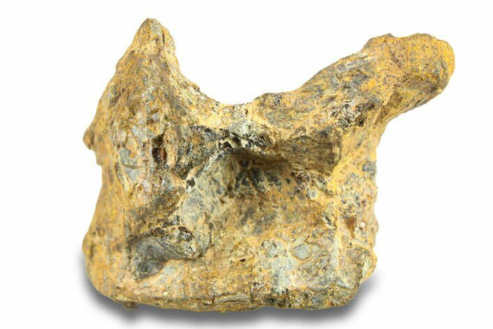 Pallasite Meteorite ( g) - NWA #281416